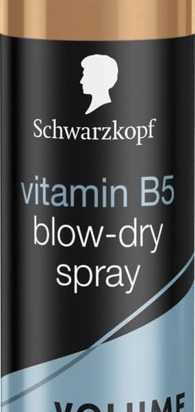 Schwarzkopf Styling Vitamin B5 Blow-Dry Hair Spray, Volume and Shine, 24hr hold, 100C heat protectant spray, 200ml, Pack of 1, –